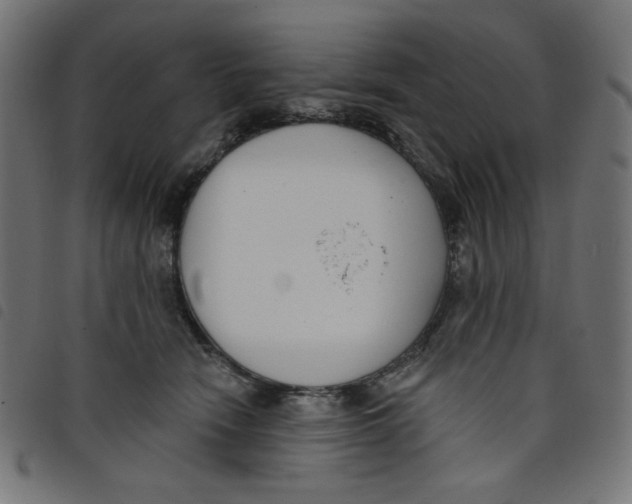 X0000098110466200804251432