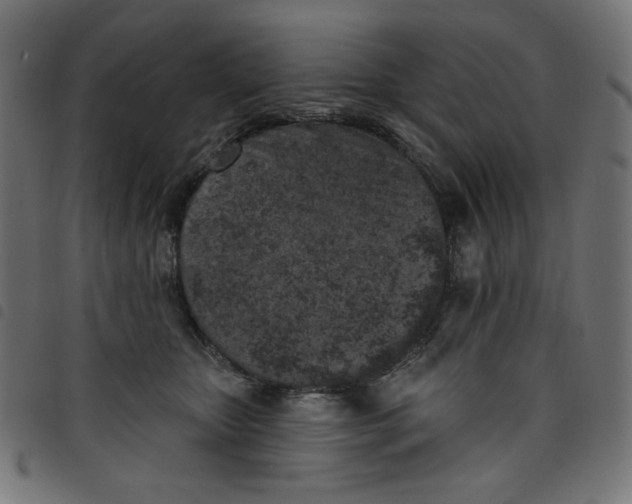 X0000098110467200804251432