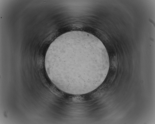 X0000098110468200804251432