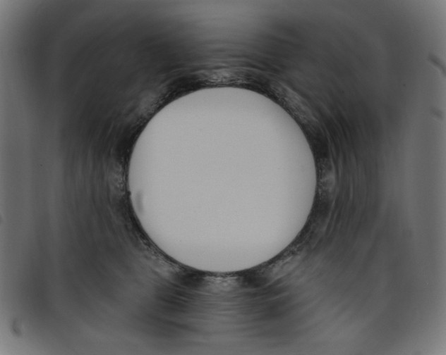 X0000098110469200804251432