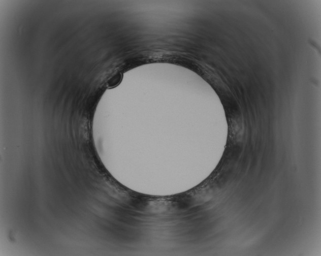 X0000098110470200804251432