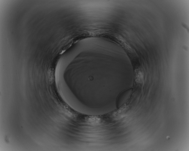 X0000098110471200804251432