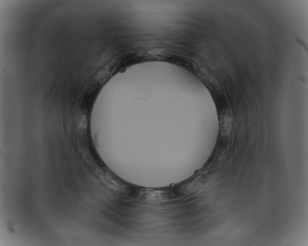 X0000098110472200804251432