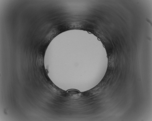 X0000098110474200804251432