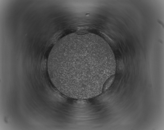 X0000098110475200804251432