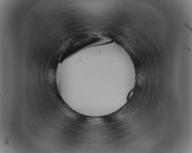 X0000098110476200804251432