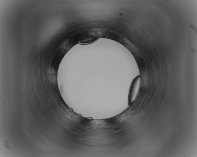 X0000098110477200804251432