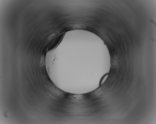 X0000098110478200804251432