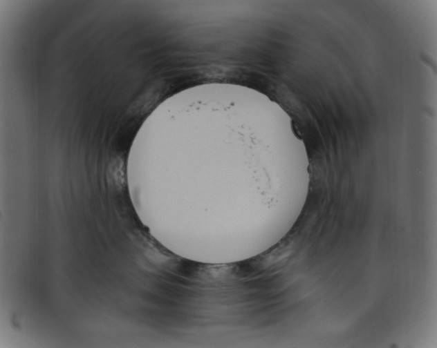 X0000098110479200804251432