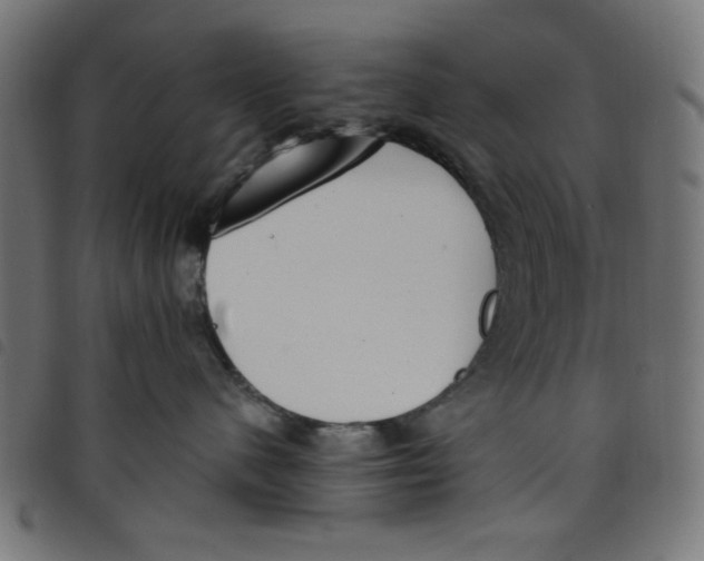 X0000098110480200804251432