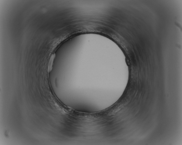 X0000098110481200804251431