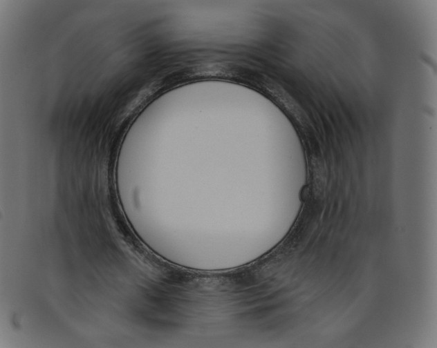 X0000098110482200804251431