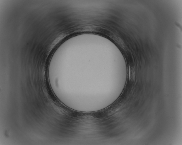 X0000098110483200804251431