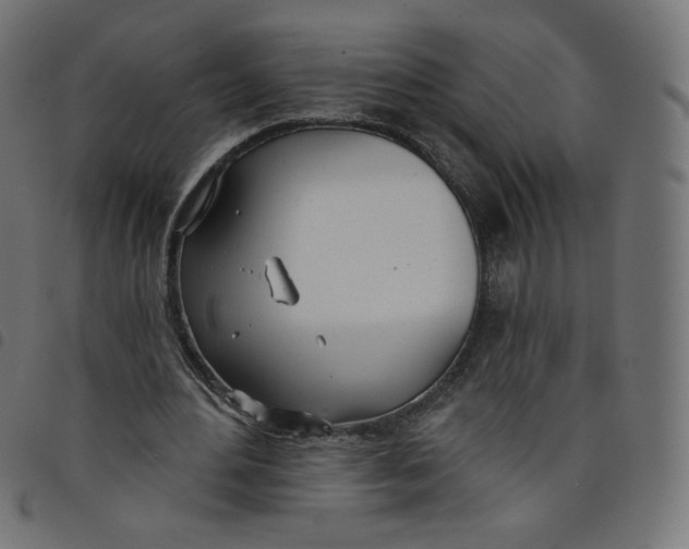 X0000098110484200804251431