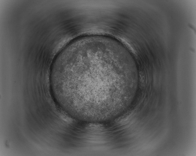 X0000098110487200804251431