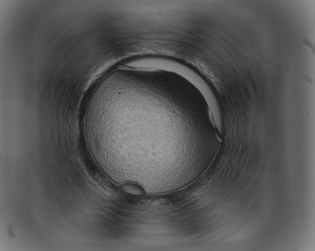 X0000098110488200804251431