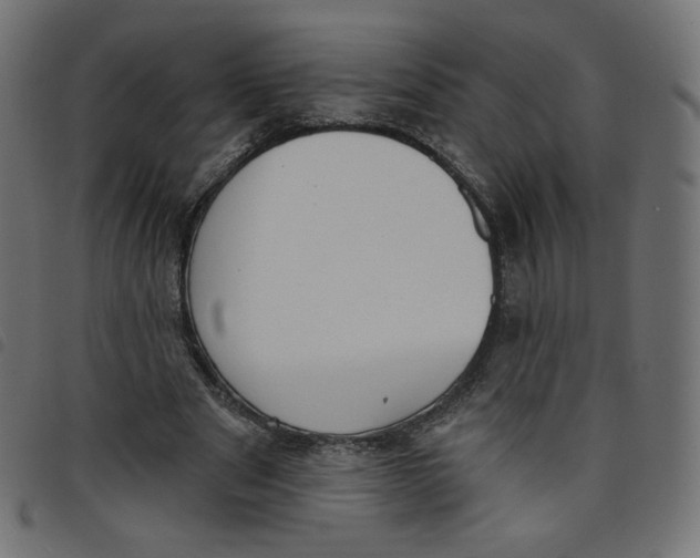 X0000098110489200804251431