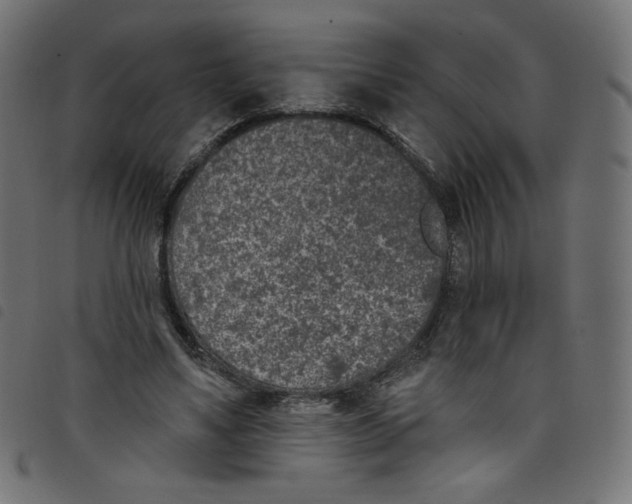 X0000098110491200804251431