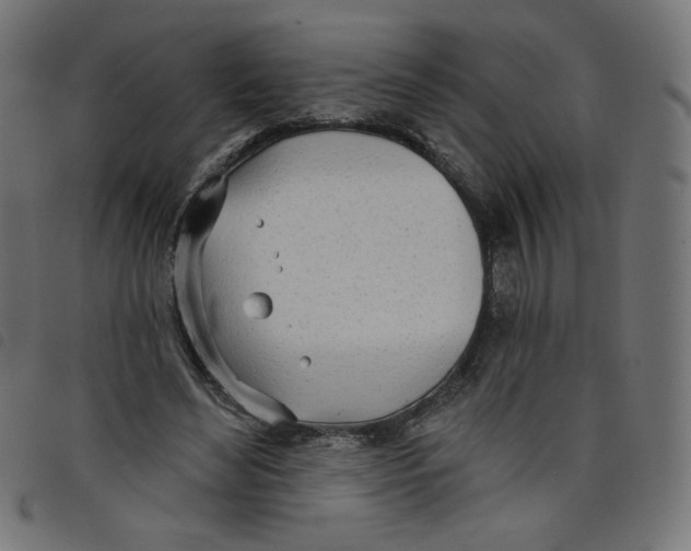 X0000098110492200804251431