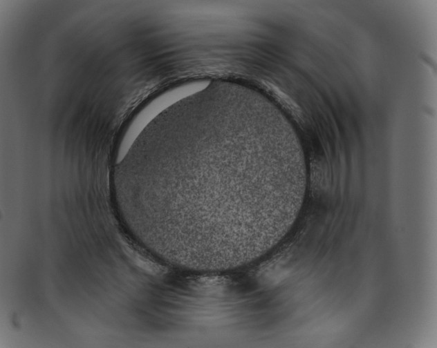 X0000098110493200804251431