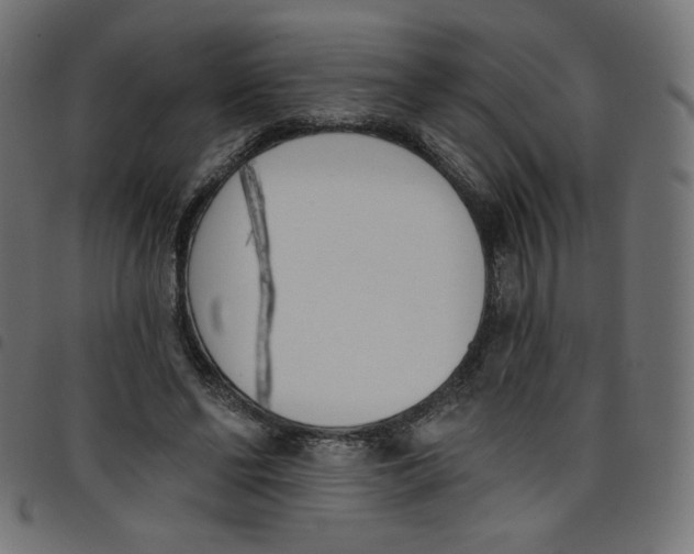 X0000098110494200804251431