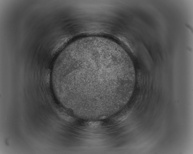 X0000098110495200804251431