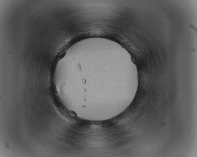 X0000098110496200804251431