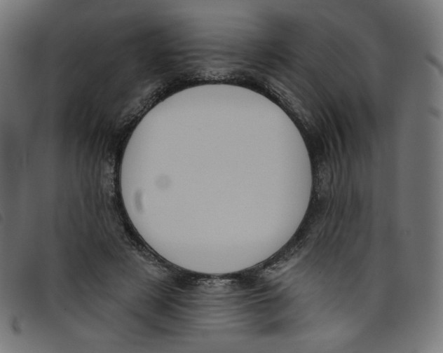 X0000098110497200804251431