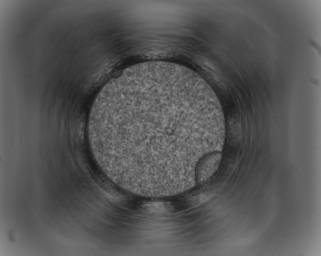 X0000098110499200804251431