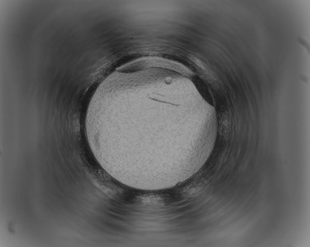 X0000098110500200804251431