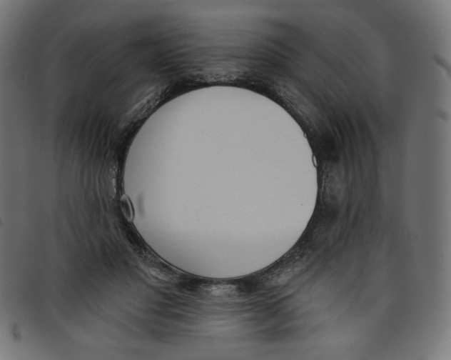 X0000098110501200804251431