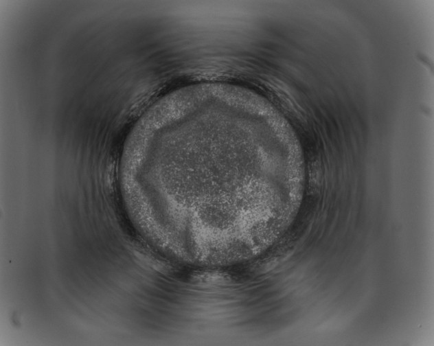 X0000098110503200804251431