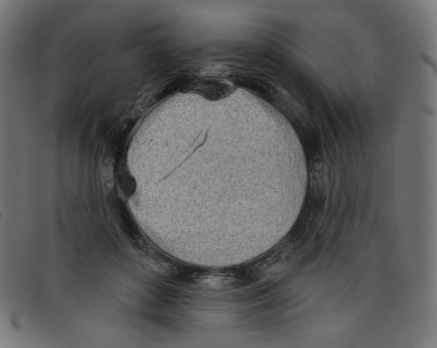 X0000098110504200804251431