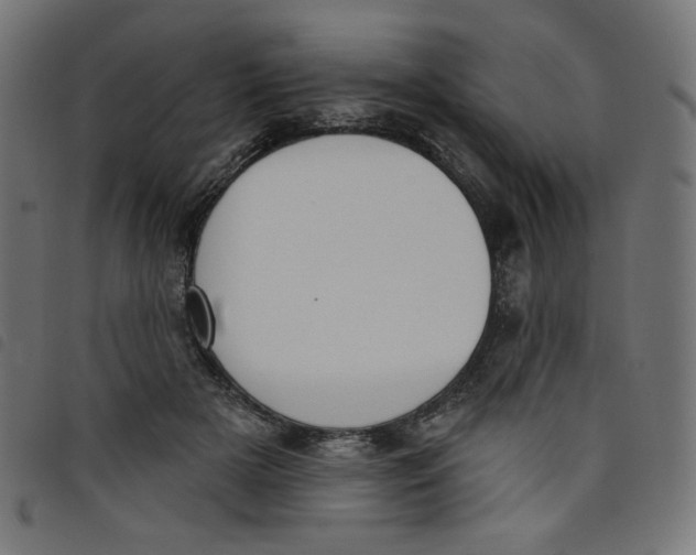 X0000098110505200804251431