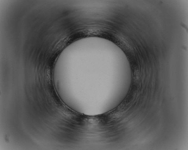 X0000098110506200804251431