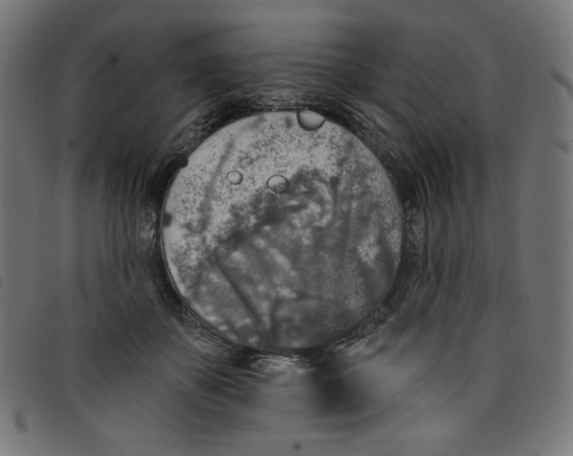 X0000098110507200804251431