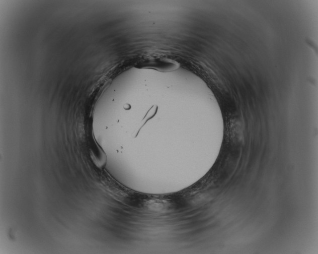 X0000098110508200804251431