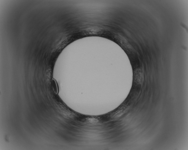 X0000098110509200804251431