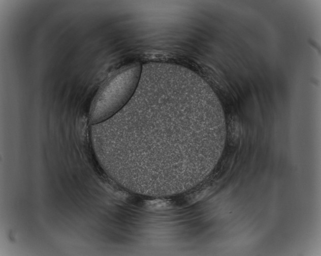 X0000098110511200804251431