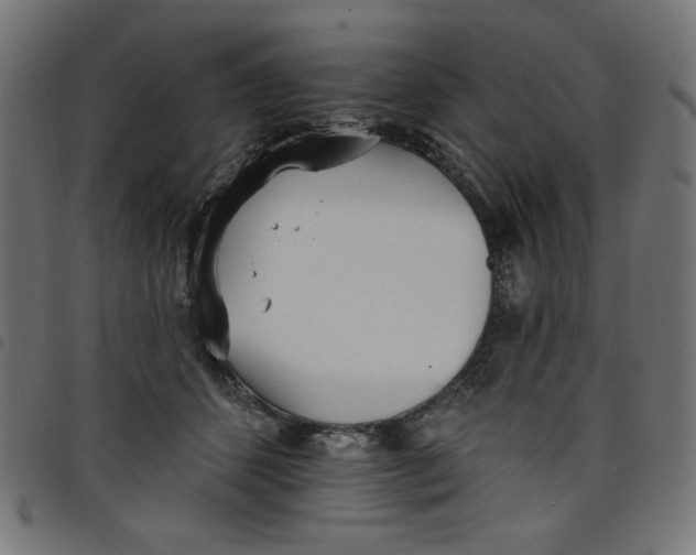 X0000098110512200804251431