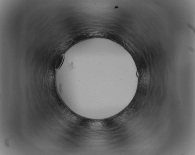 X0000098110513200804251431