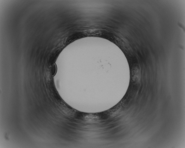 X0000098110515200804251431