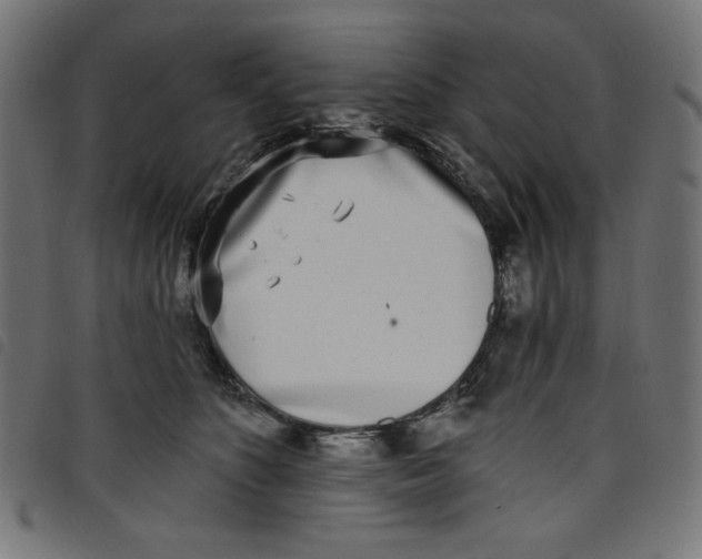 X0000098110516200804251431