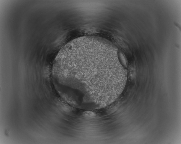 X0000098110519200804251430