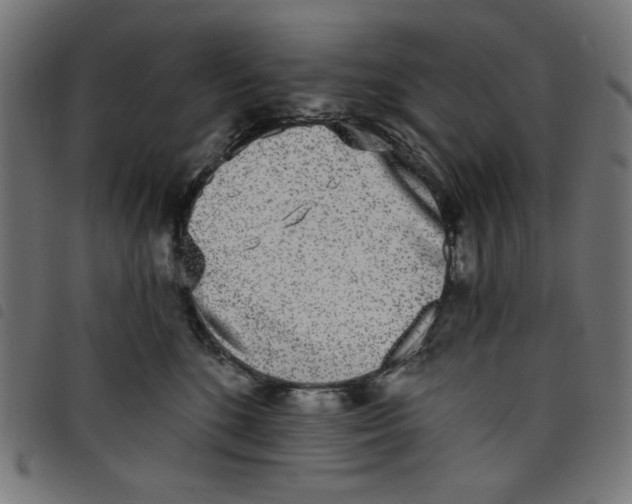 X0000098110520200804251430