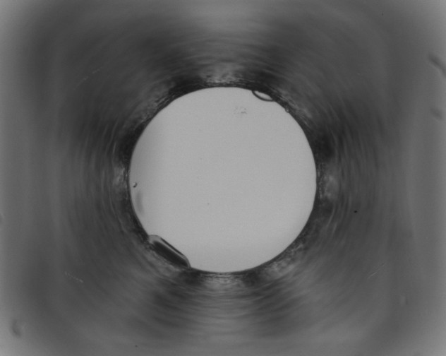 X0000098110521200804251430