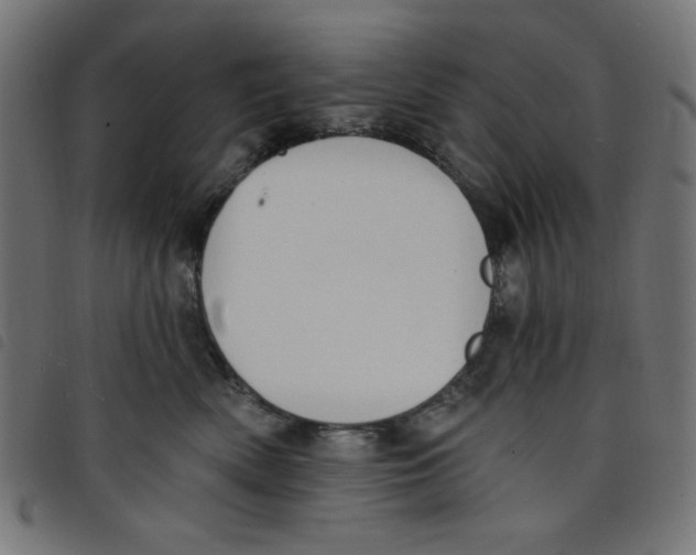 X0000098110522200804251430