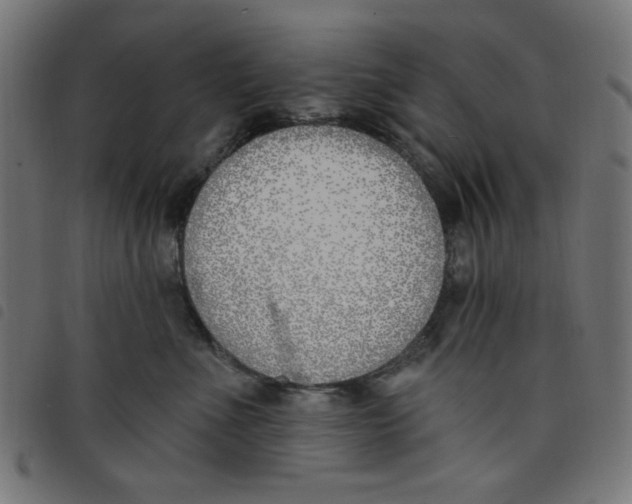 X0000098110523200804251430