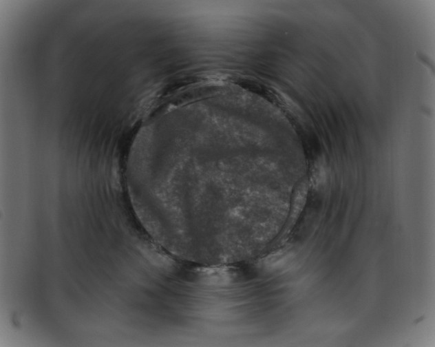 X0000098110524200804251430