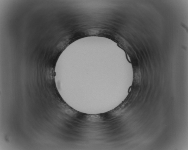 X0000098110525200804251430